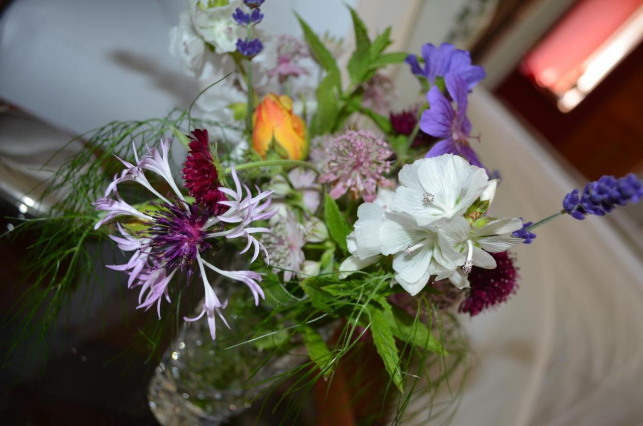 トットネス Bow Mill Farm Bed & Breakfast エクステリア 写真