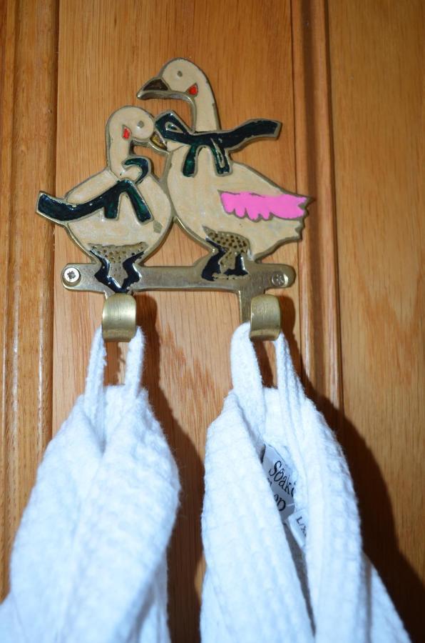 トットネス Bow Mill Farm Bed & Breakfast エクステリア 写真